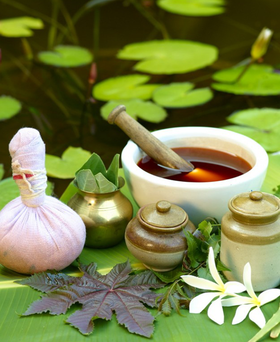Doctors Ayurveda