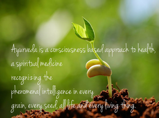 Doctors Ayurveda