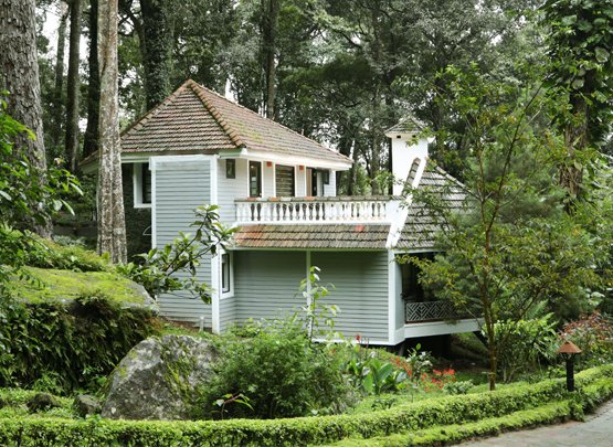 Doctors_Ayurveda_Services